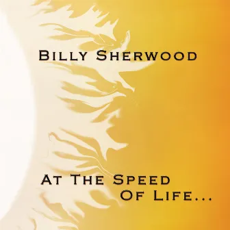 At the Speed of Life by Billy Sherwood