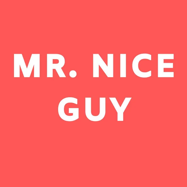 Mr. Nice Guy