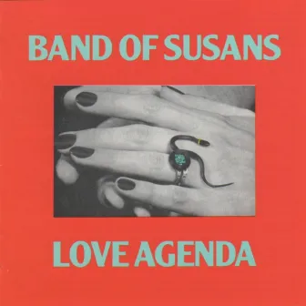 Love Agenda by Band Of Susans