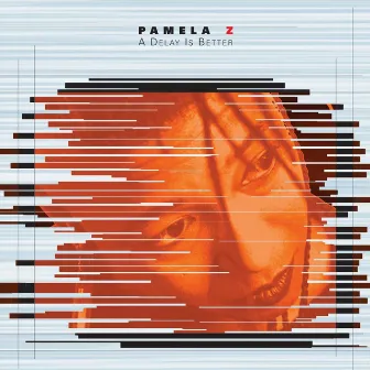 Pamela Z: A Delay Is Better by Pamela Z