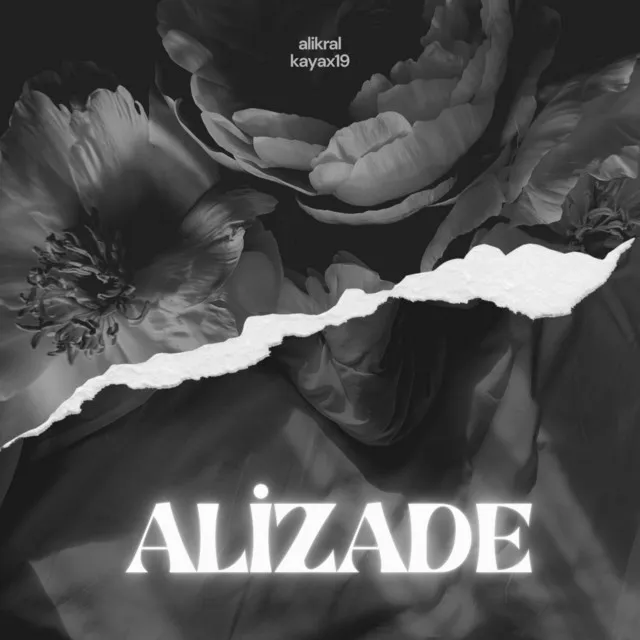 Ali̇zade