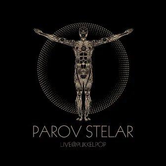 Live @ Pukkelpop by Parov Stelar