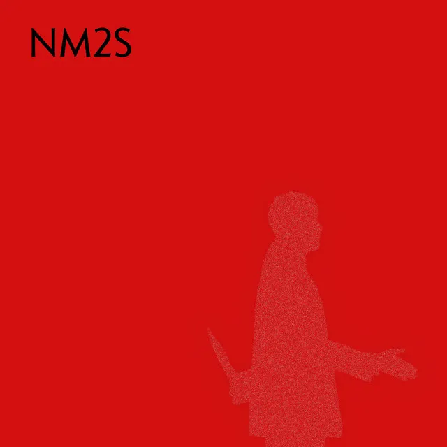 NM2S