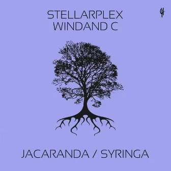 Jacaranda / Syringa by Stellarplex