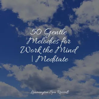 50 Gentle Melodies for Work the Mind | Meditate by Raindrops Sleep