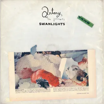 Swanlights by Antony and the Johnsons