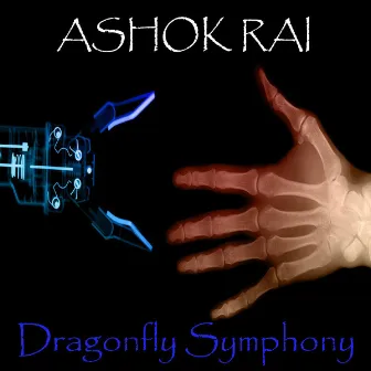 Dragonfly Symphony by Ashok Rai