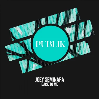 Back To Me by Joey Seminara