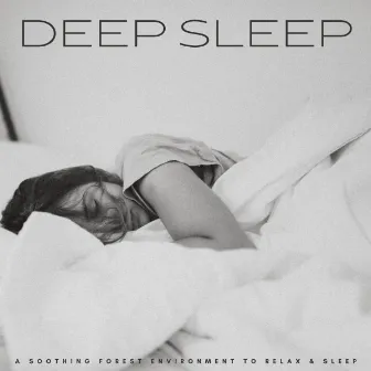 Deep Sleep: A Soothing Forest Environment To Relax & Sleep by The Sleeping Music Legends