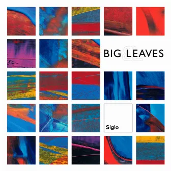 Siglo by big leaves