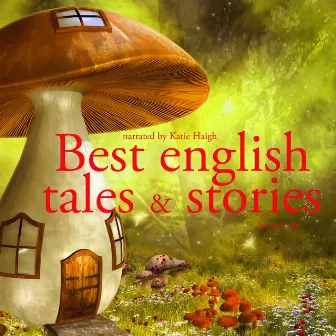 Best english tales and stories by Andersen