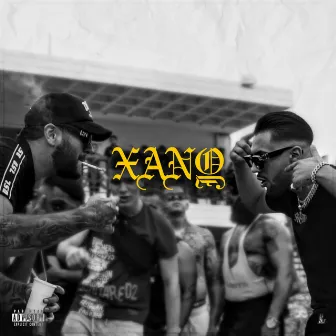 Xanw by Skam