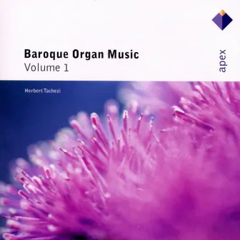 Baroque Organ Music Vol.1 (Apex) by Herbert Tachezi