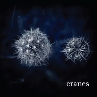 Cranes by Cranes