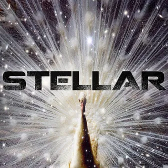 Solitaire by Stellar