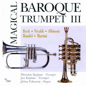 Magical Baroque Trumpet III by Jiřina Pokorná