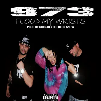 Flood My Wrists by 973