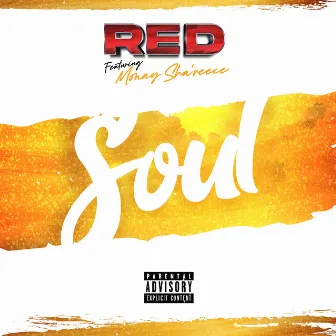 Soul (feat. Monay Sha'reece) by Red