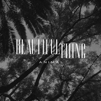 Animal by BEAUTIFUL THING