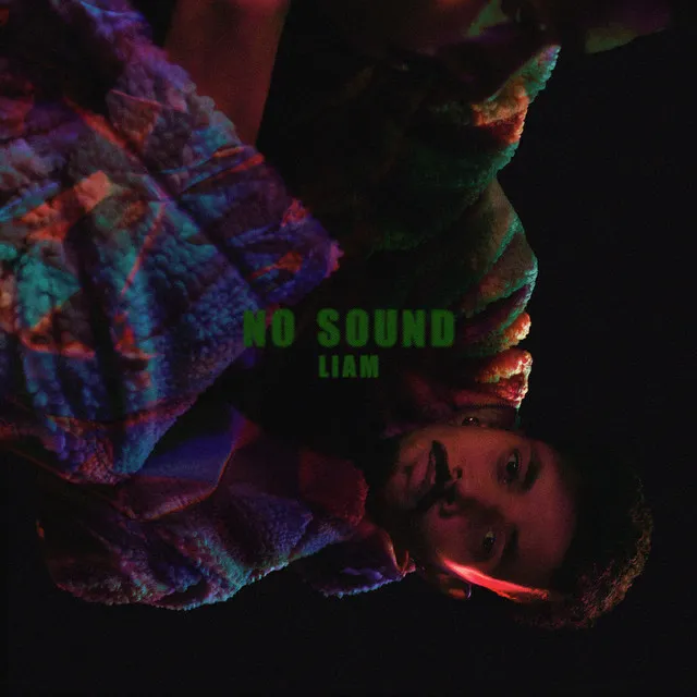 No Sound