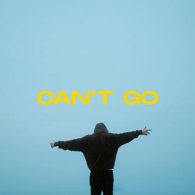 Can't Go