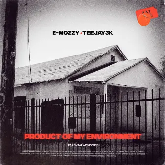 Product of My Environment by E MOZZY