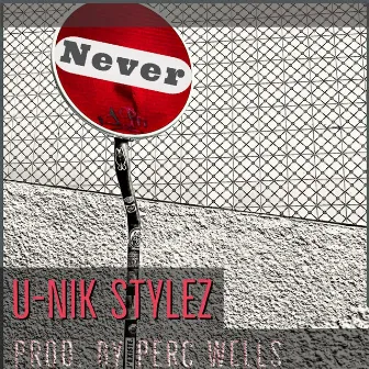 Never by U-Nik Stylez