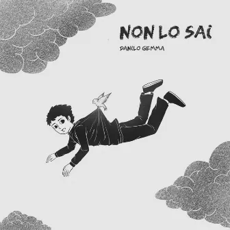 Non lo sai by Danilo Gemma