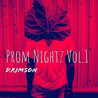 Prom Nightz, Vol. 1 (The Instrumental Tapes) by D.Rimson