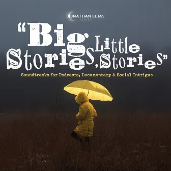 Big Stories, Little Stories (Edited) by David Turtle Ramani