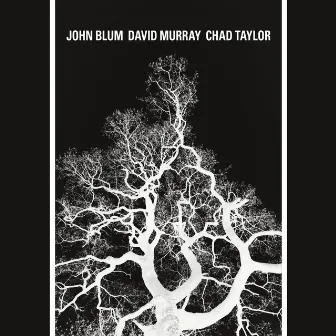 The Recursive Tree by Chad Taylor