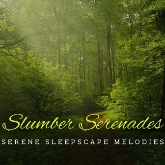 Piano Slumber Serenades: Tranquil Sounds for Restful Sleep by Piano Prayer