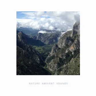 Nature Ambient Sounds for Meditation by Mind Groove