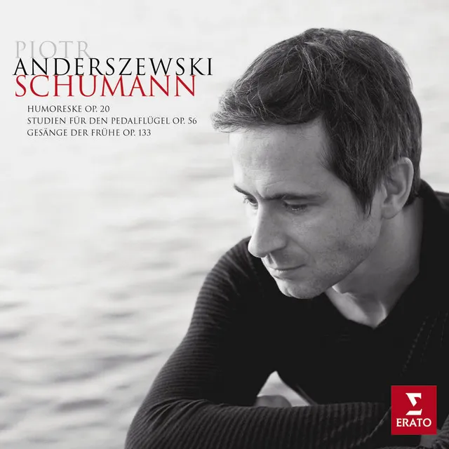 Schumann: 6 Studien in kanonischer Form, Op. 56: No. 1, Nicht schnell