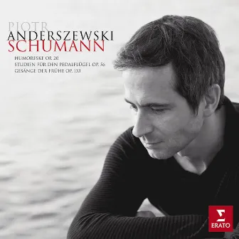 Schumann : Piano works by Piotr Anderszewski