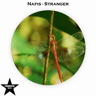 Stranger by Nafis