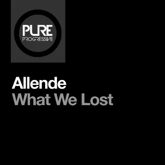 What We Lost by Allende