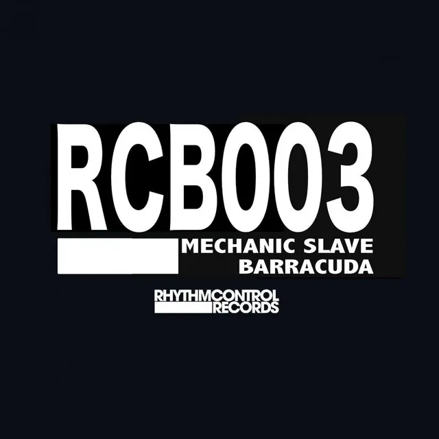 Barracuda - Radio Edit