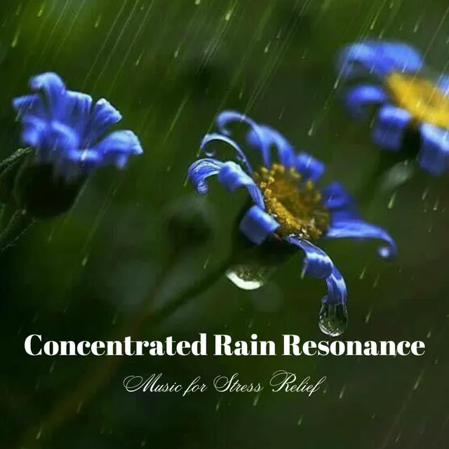 Concentrated Rain Resonance: Music for Stress Relief