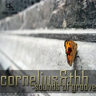 Sounds of Groove by Cornelius