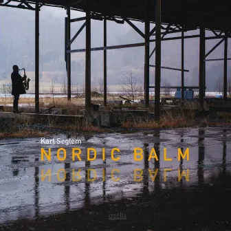 Nordic Balm by Karl Seglem