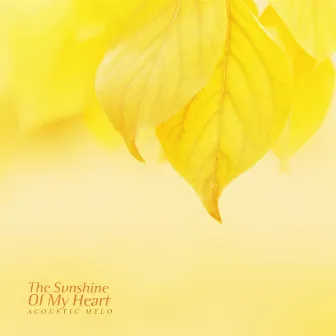 The Sunshine Of My Heart by Acoustic Melo