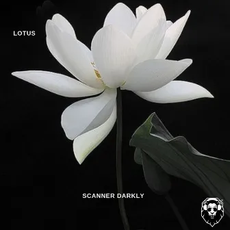 Lotus by Scanner Darkly