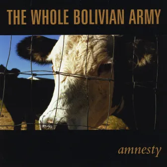 Amnesty by The Whole Bolivian Army