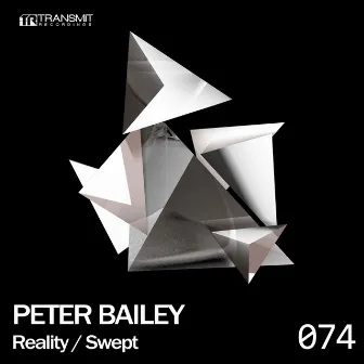 Reality / Swept by Peter Bailey