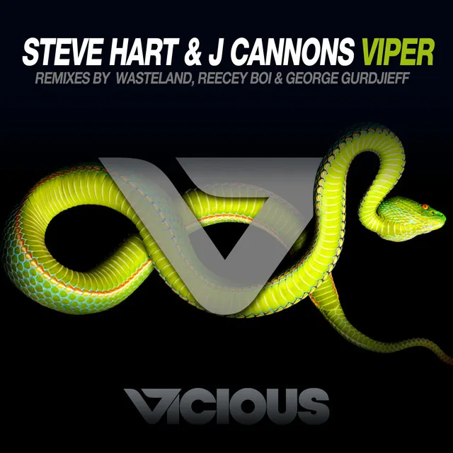 Viper - George Gurdjieff Remix