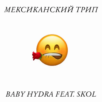 Мексиканский трип by BABY HYDRA