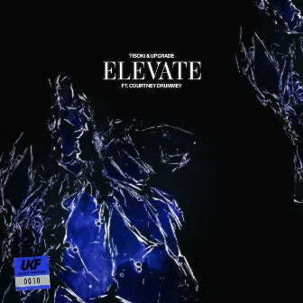 Elevate by Courtney Drummey