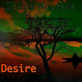 Desire by Shiloh Nouvelle