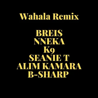 Wahala (Remix) by BREIS